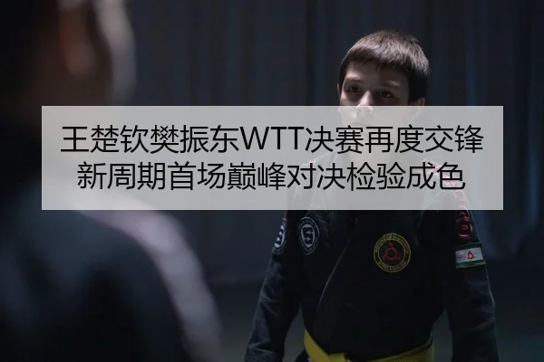 王楚钦樊振东WTT决赛再度交锋 新周期首场巅峰对决检验成色