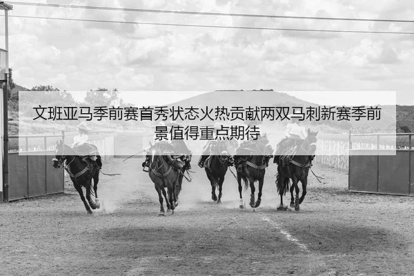 文班亚马季前赛首秀状态火热贡献两双马刺新赛季前景值得重点期待